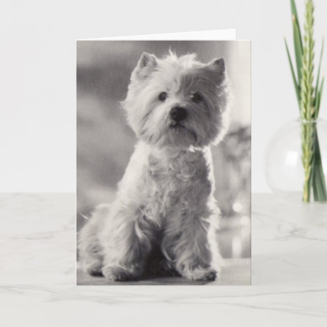 Black and White Westie Card (Front)