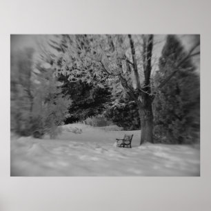 Black and White Winter Park Bench Print