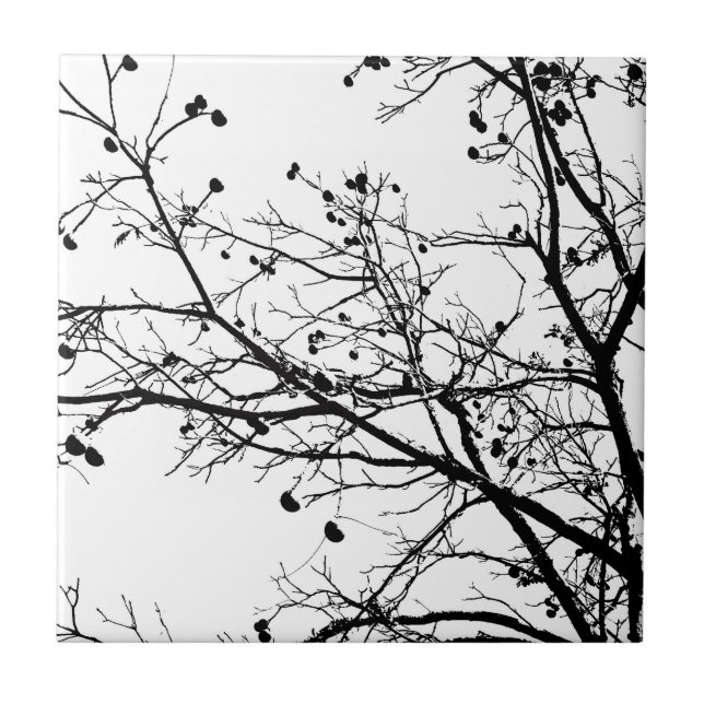 Black and White Winter Tree Tile (Front)