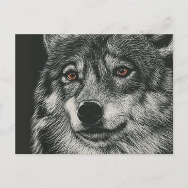 Black and white wolf illustration postcard (Front)
