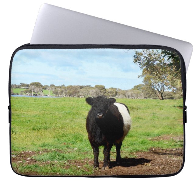 Black And White Woolly Belted Galloway Cow, Laptop Sleeve (Front)