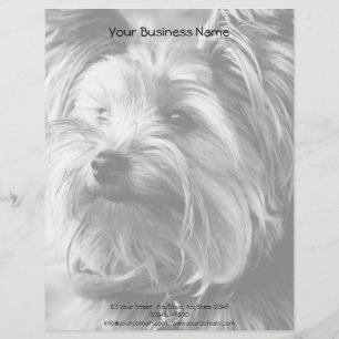 Black and White Yorkshire Terrier Yorkie Portrait Letterhead