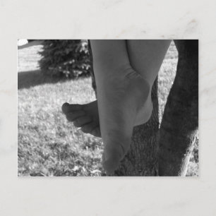 Black and White Young Feet Postcard