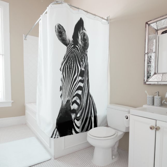 Black and White Zebra Portrait (In Situ)