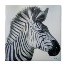 Black and White Zebra Portrait