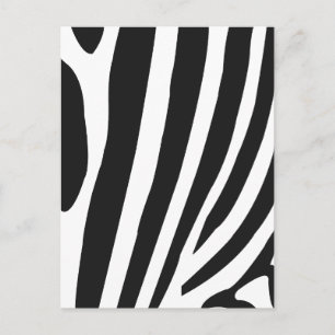 Black and White Zebra Stripes Postcard