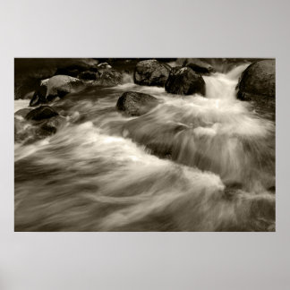 Black and Whitewash Poster