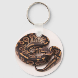 Black and Yellow Ball Python Keychain