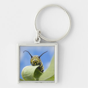Black and yellow caterpillar keychain