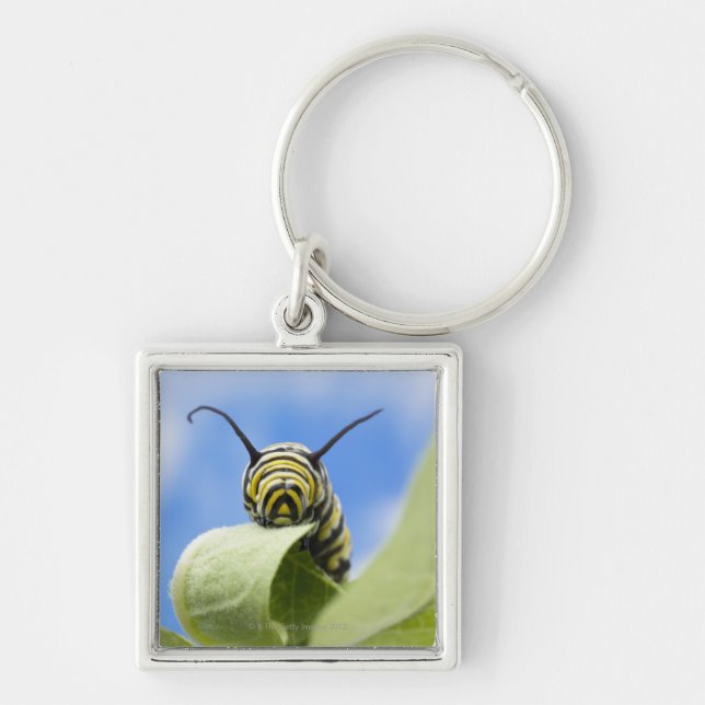 Black and yellow caterpillar keychain (Front)