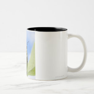 Black and yellow caterpillar Two-Tone coffee mug