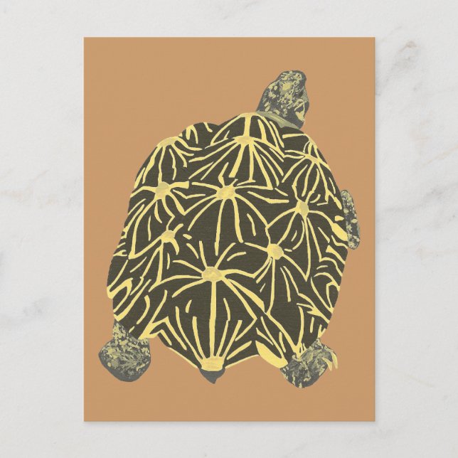 Black and Yellow Star Tortoise, painting postcards (Front)