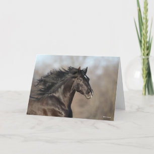 Black Andalucian Headshot Mane Flowing Card