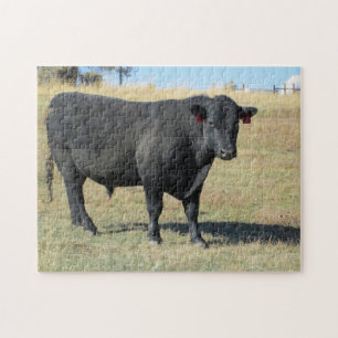 Black Angus at Pasture Jigsaw Puzzle