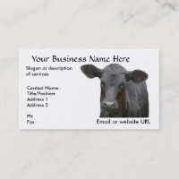 Black Angus Beef Cow