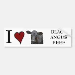 Black Angus Beef  - I love heart design Bumper Sticker