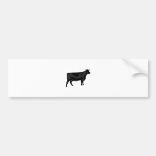 Black Angus Bumper Sticker