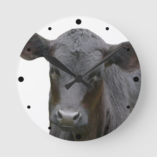 Black Angus Calf Animal Photograph Round Clock (Front)