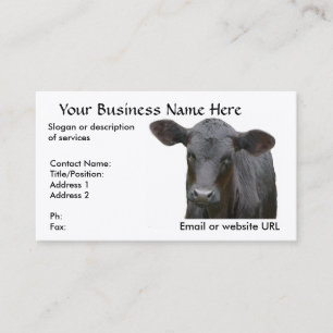 Black Angus Calf for Cattle Rancher Business Card