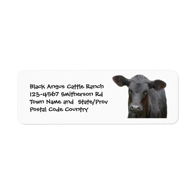 Black Angus Cattle Farm or Ranch Sticker (Front)