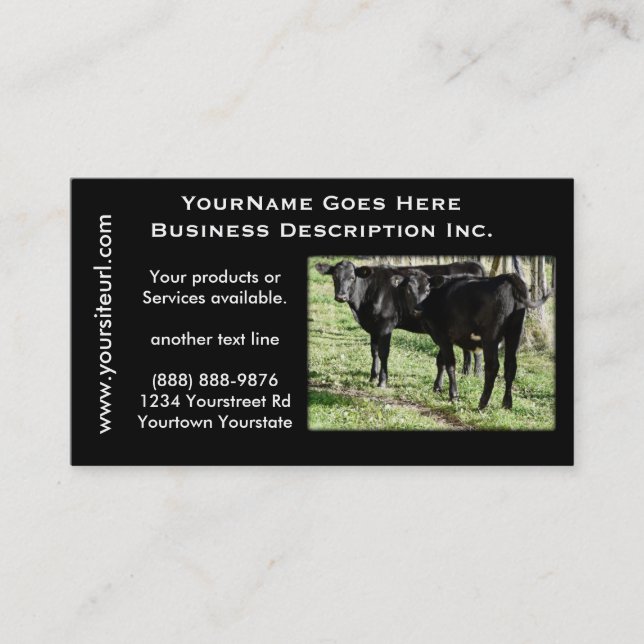 Black Angus Cattle Ranch Business Card (Front)