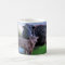 Black Angus Cow and Calf