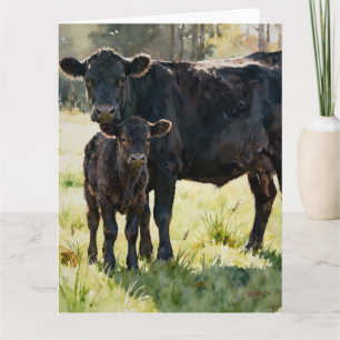 Black Angus Cow and Calf Study B In Watercolors Card