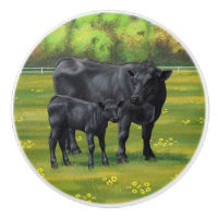 Black Angus Cow & Cute Calf in Summer Pasture