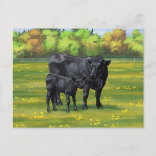Black Angus Cow & Cute Calf in Summer Pasture Postcard