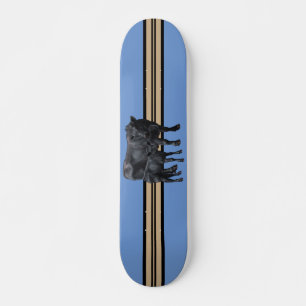 Black Angus Cow & Cute Calf Skateboard