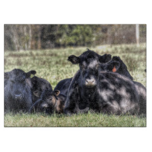 Black Angus Cows in Pasture Cutting Board