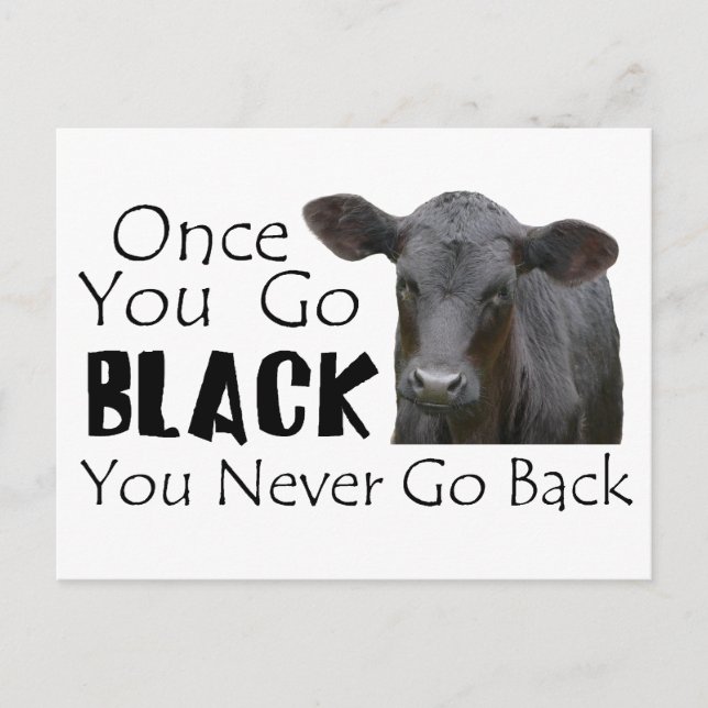 Black Angus Funny Cow Photo Postcard (Front)