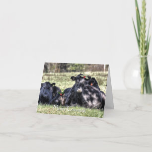 Black Angus Holly Merry Cowmas Greetings Holiday Card