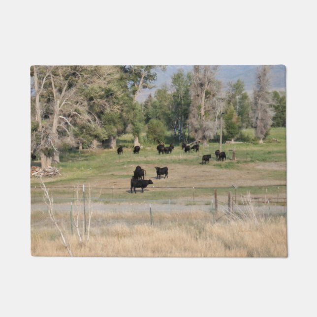Black Angus in the Pasture Doormat (Front)