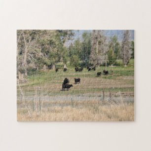 Black Angus in the Pasture Jigsaw Puzzle