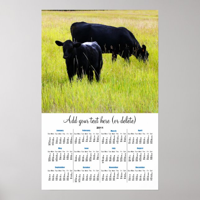 Black Angus in Yellow Grass 2011 wall  calendar Poster (Front)