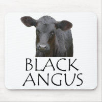 Black Angus