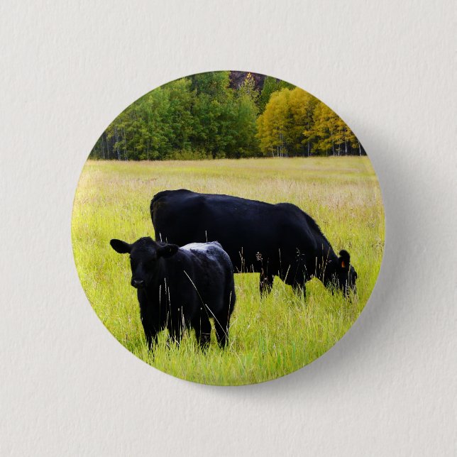 Black Angus Pair in Field 2 Inch Round Button (Front)