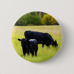Black Angus Pair in Field 2 Inch Round Button