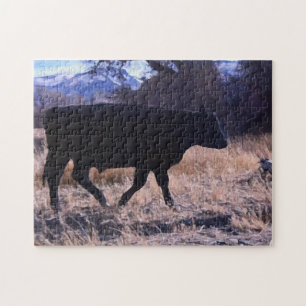 Black Angus Steer Jigsaw Puzzle
