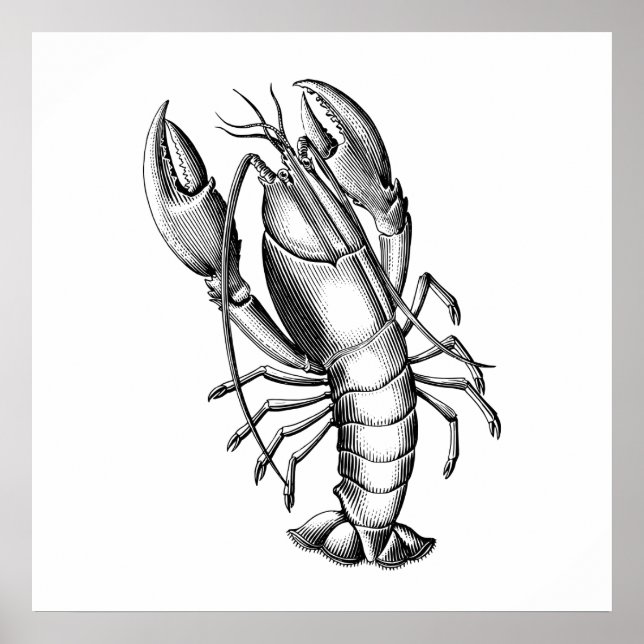 Black Antique Lobster Scientific Illustration Poster (Front)