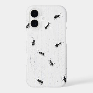 Black Ants on Whitewashed Wood