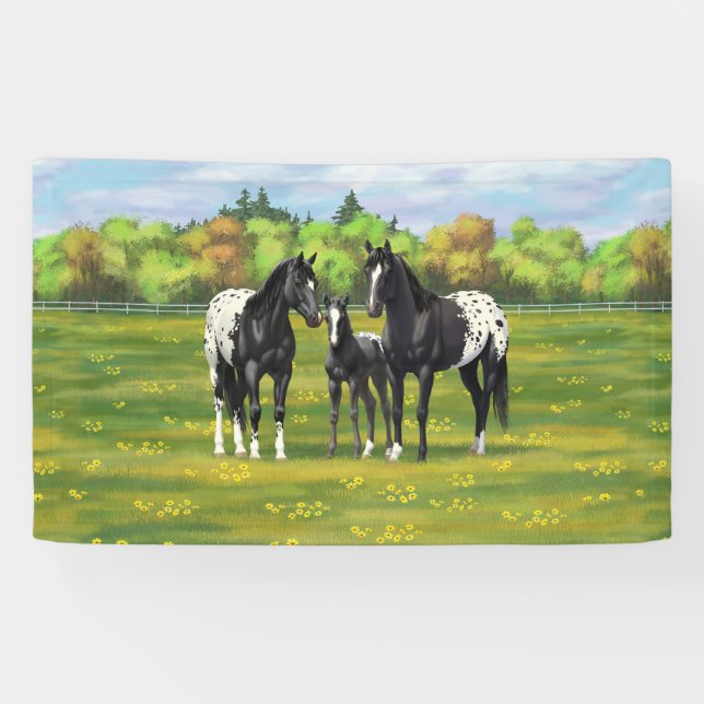 Black Appaloosa Horses In Summer Pasture Banner (Horizontal)