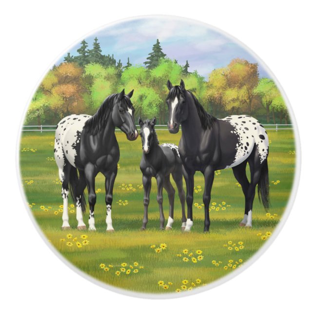 Black Appaloosa Horses In Summer Pasture Ceramic Knob (Front)