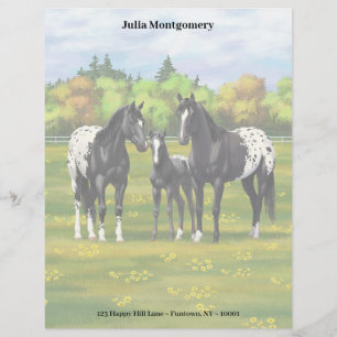 Black Appaloosa Horses In Summer Pasture Letterhead