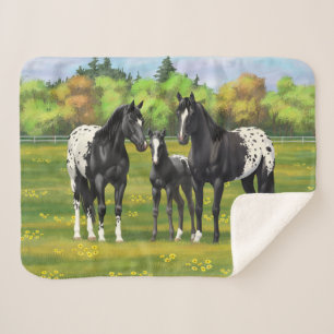 Black Appaloosa Horses In Summer Pasture Sherpa Blanket