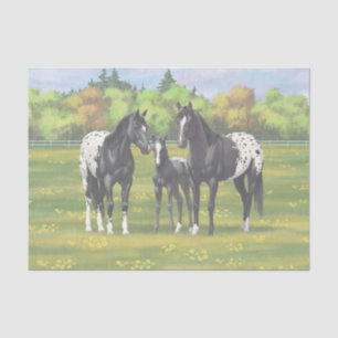Black Appaloosa Horses In Summer Pasture Tissue Paper