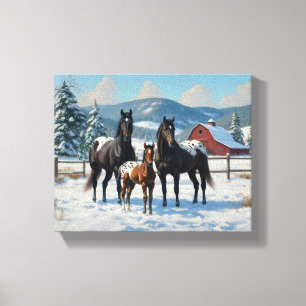 Black Appaloosa Horses on a Farm in Winter Canvas Print