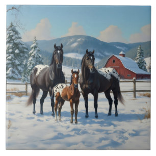 Black Appaloosa Horses on a Farm in Winter Tile