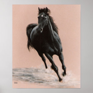 Black Arabian Horse print